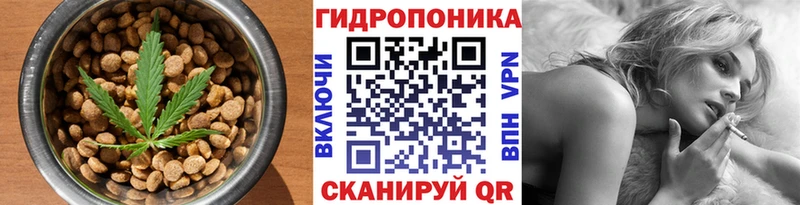 Canna-Cookies конопля  Котельнич 
