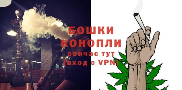 PSILOCYBIN Нягань