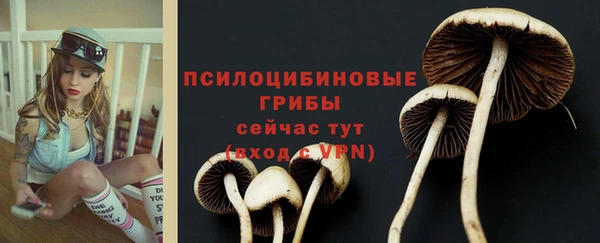 MDMA Нязепетровск