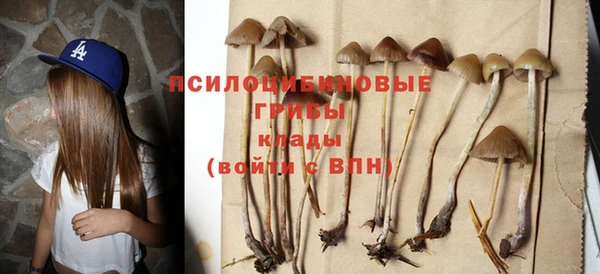 PSILOCYBIN Нягань