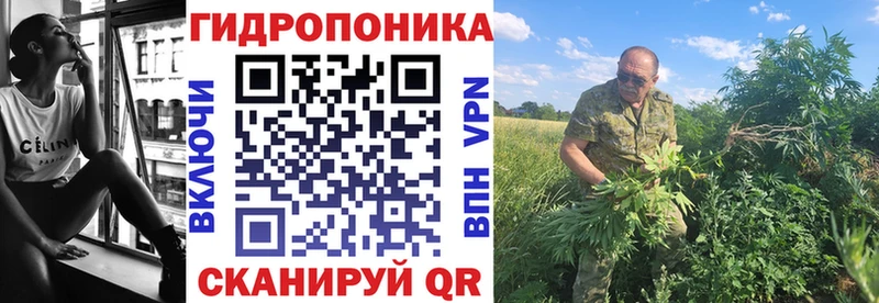 кракен ССЫЛКА  магазин продажи наркотиков  Котельнич  Каннабис THC 21% 